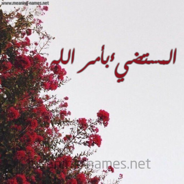 شكل 18 صوره الورد الأحمر للإسم بخط رقعة صورة اسم المستضيءبأمر الله Al-Mstdy'ab'amr-Al-Lh